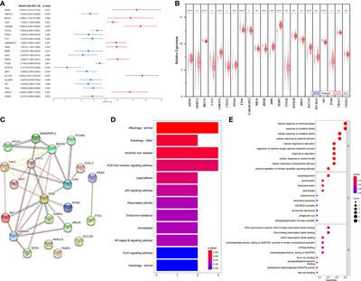 Identifying a novel ferroptosis-related prognostic score for predicting prognosis in chronic lymphocytic leukemia